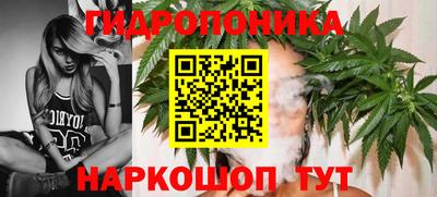 СК Коммунар