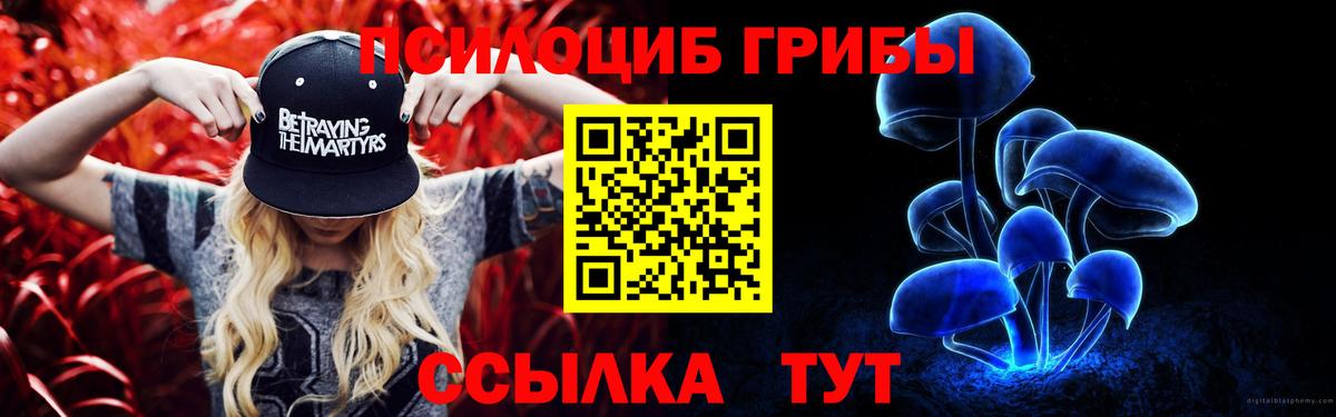 Псилоцибиновые грибы Magic Shrooms  Галлюциногенные грибы мицелий  Ставрополь  Вход с VPN 